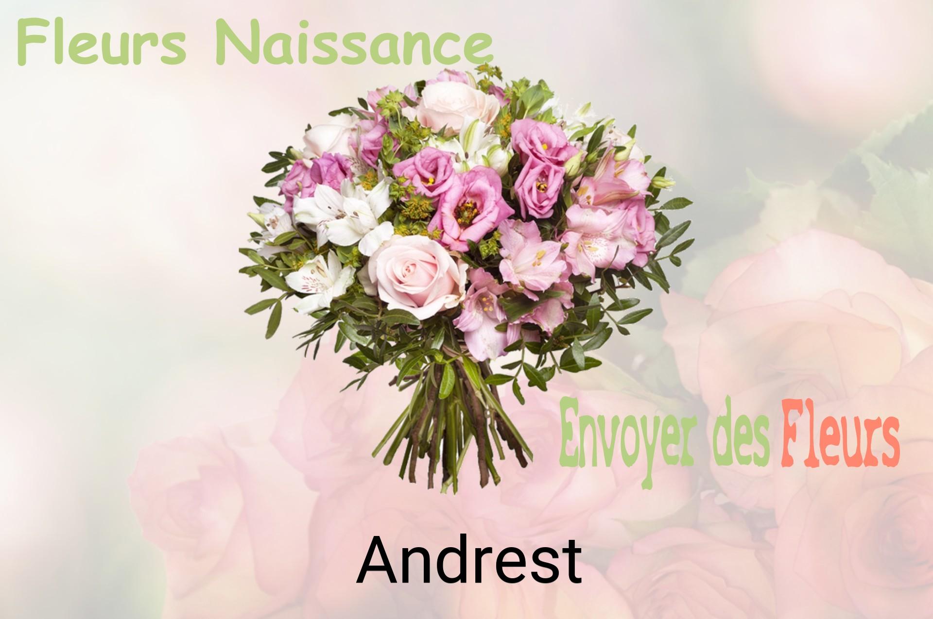 Bouquet de fleurs de naissance livré à Andrest