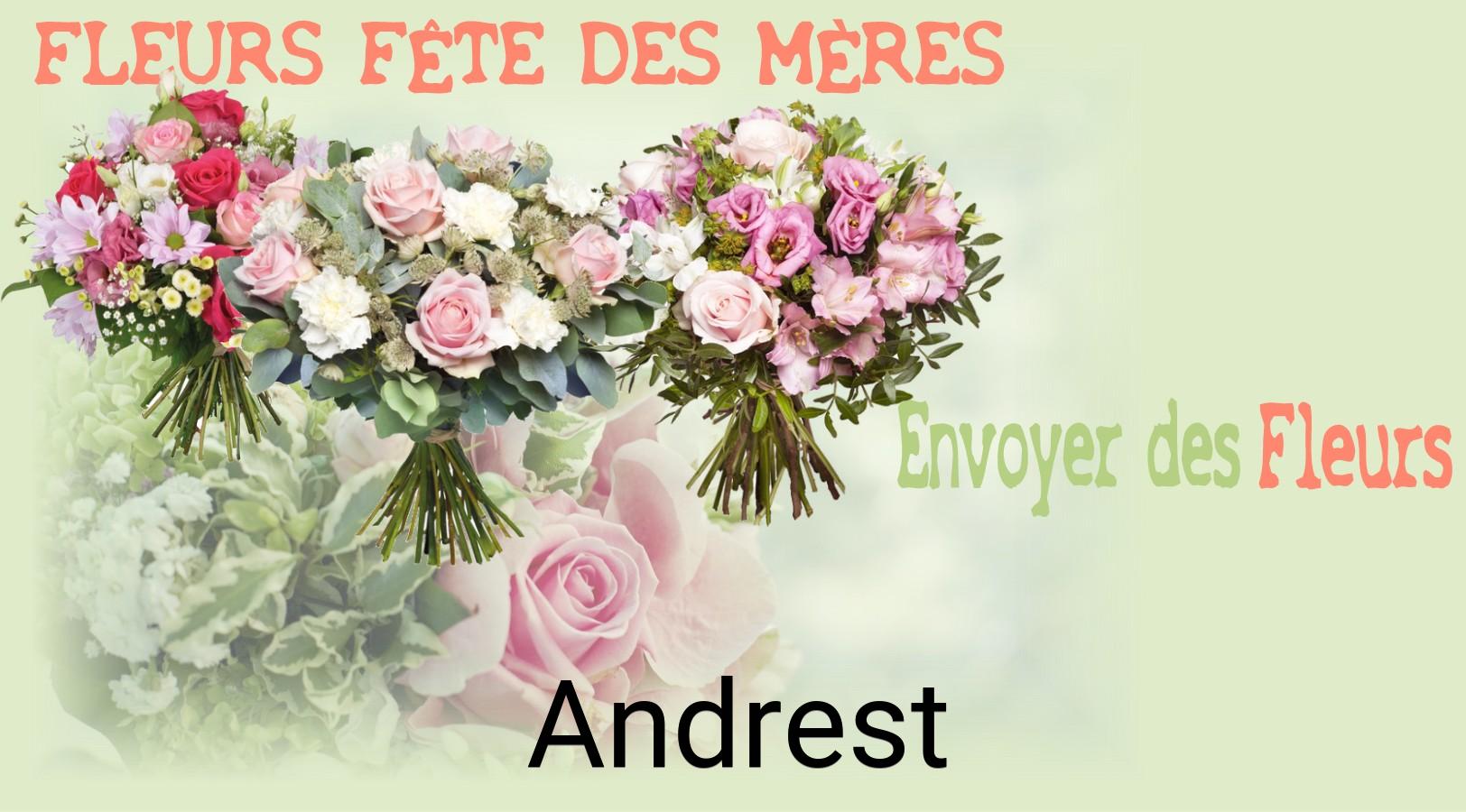 Bouquet de Fête des Mères livré à Andrest